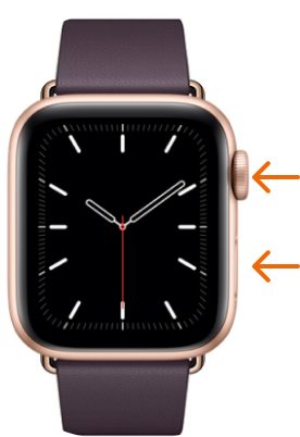 Hard Reset Apple Watch Series 5